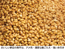 おいしい納豆の条件は、アメ色・適度な歯ごたえ・強い糸引き