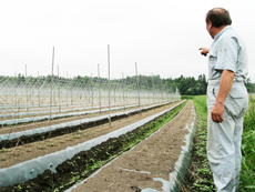 広い農場で様々な作物を栽培