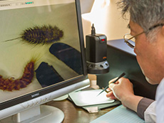 デジタル顕微鏡での異物鑑定