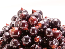 カシスはなんと青森の名産 全国の生産量は第1位なんですよ