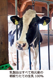 乳製品はすべて地元産の朝絞りたての生乳100％
